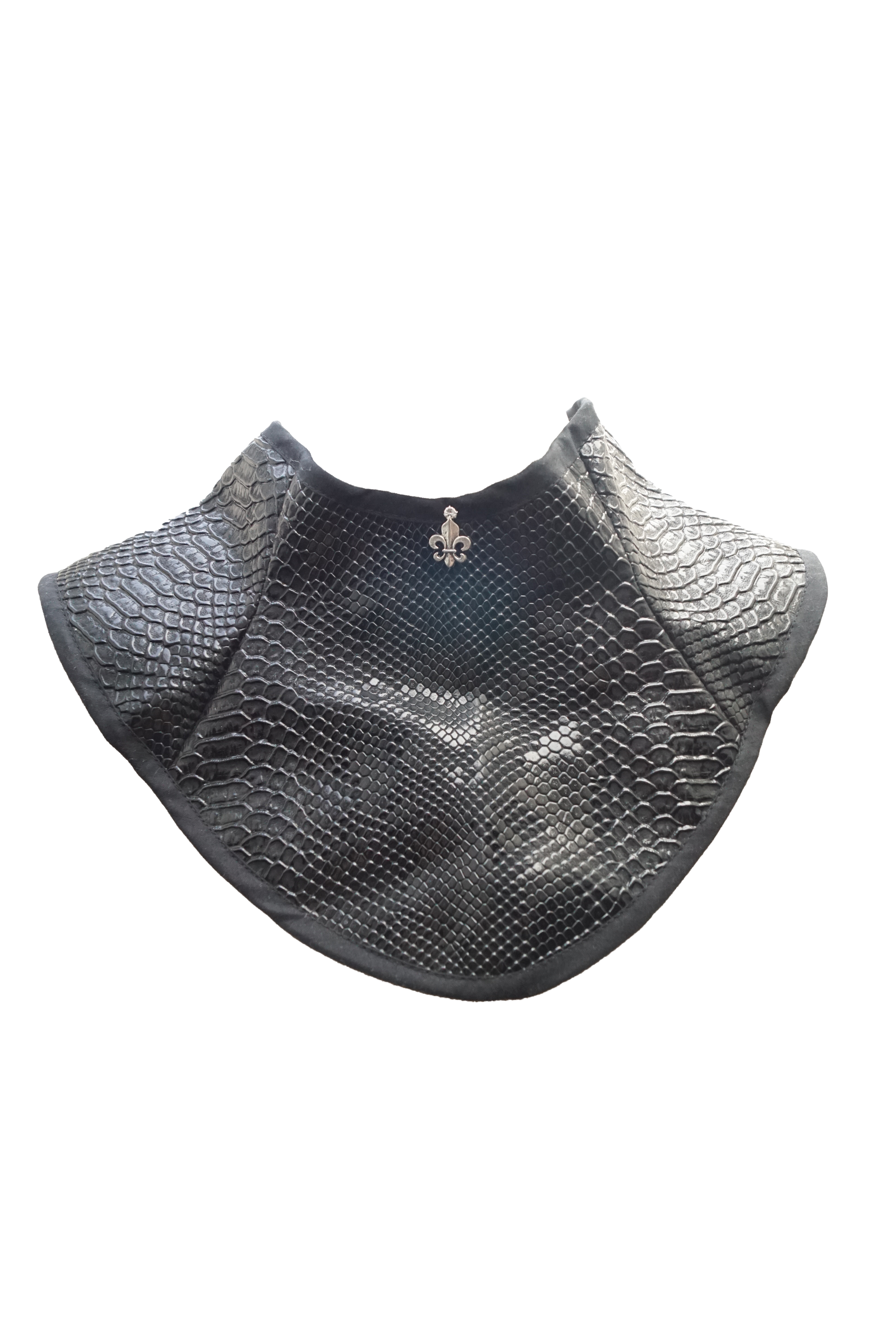 Gorjal Dragon Riders. Brunilda