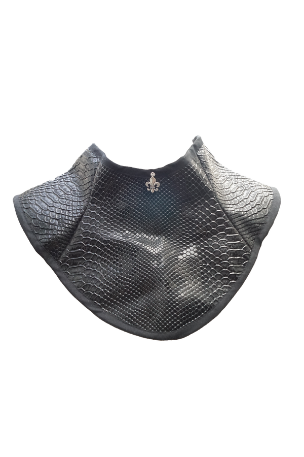 Gorjal Dragon Riders. Brunilda