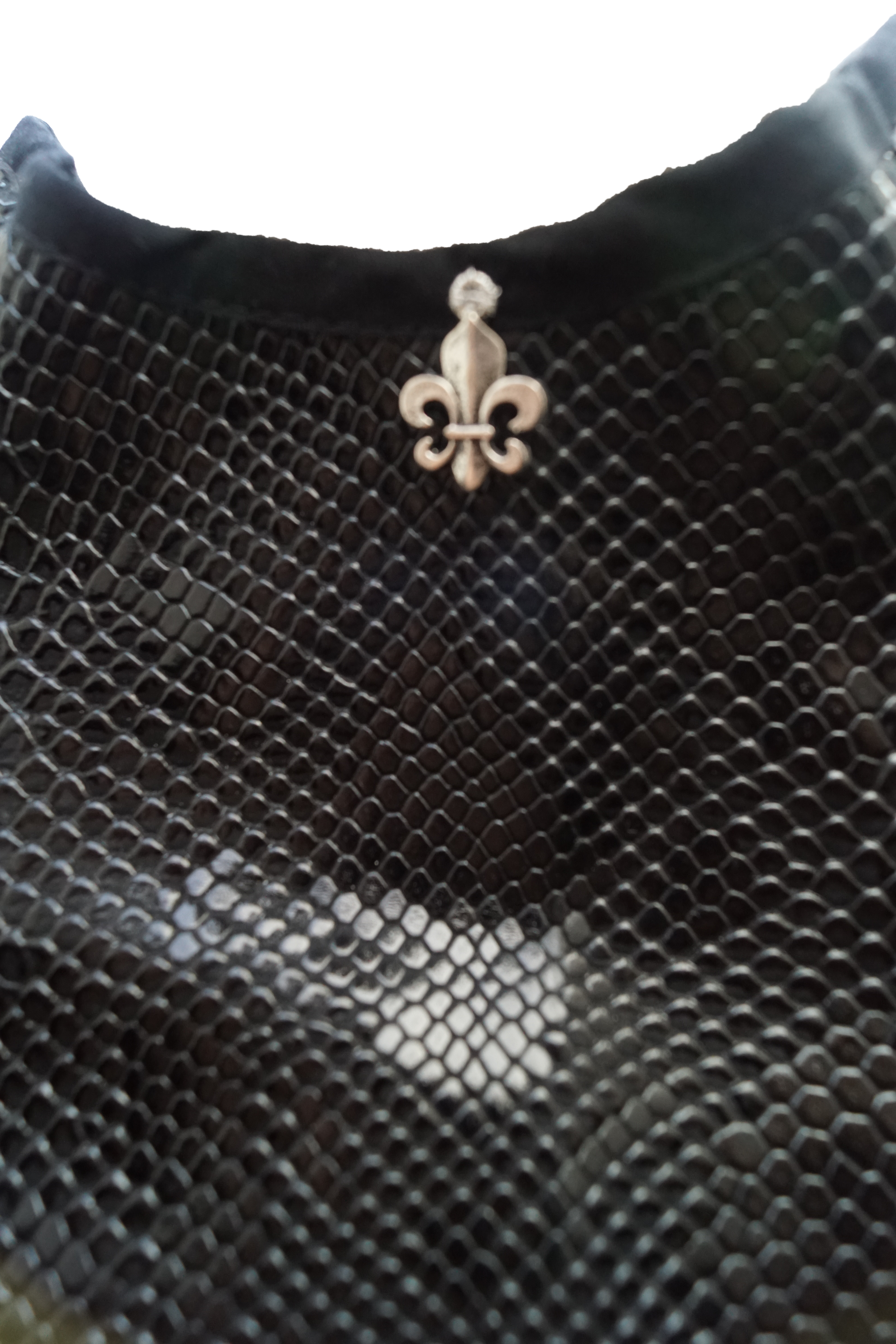 Gorjal Dragon Riders. Brunilda