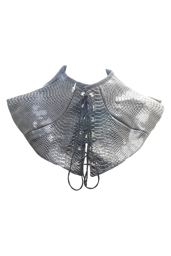 Gorjal Dragon Riders. Isolda